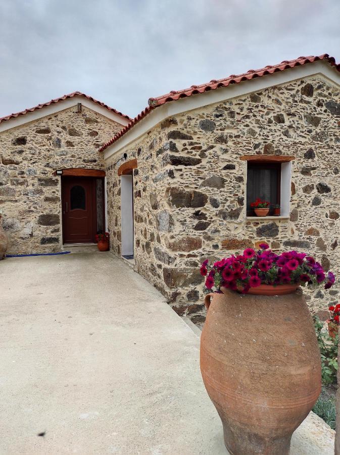 Alexander'S Cottage Limni  Exterior foto